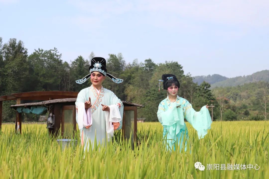 提琴戏